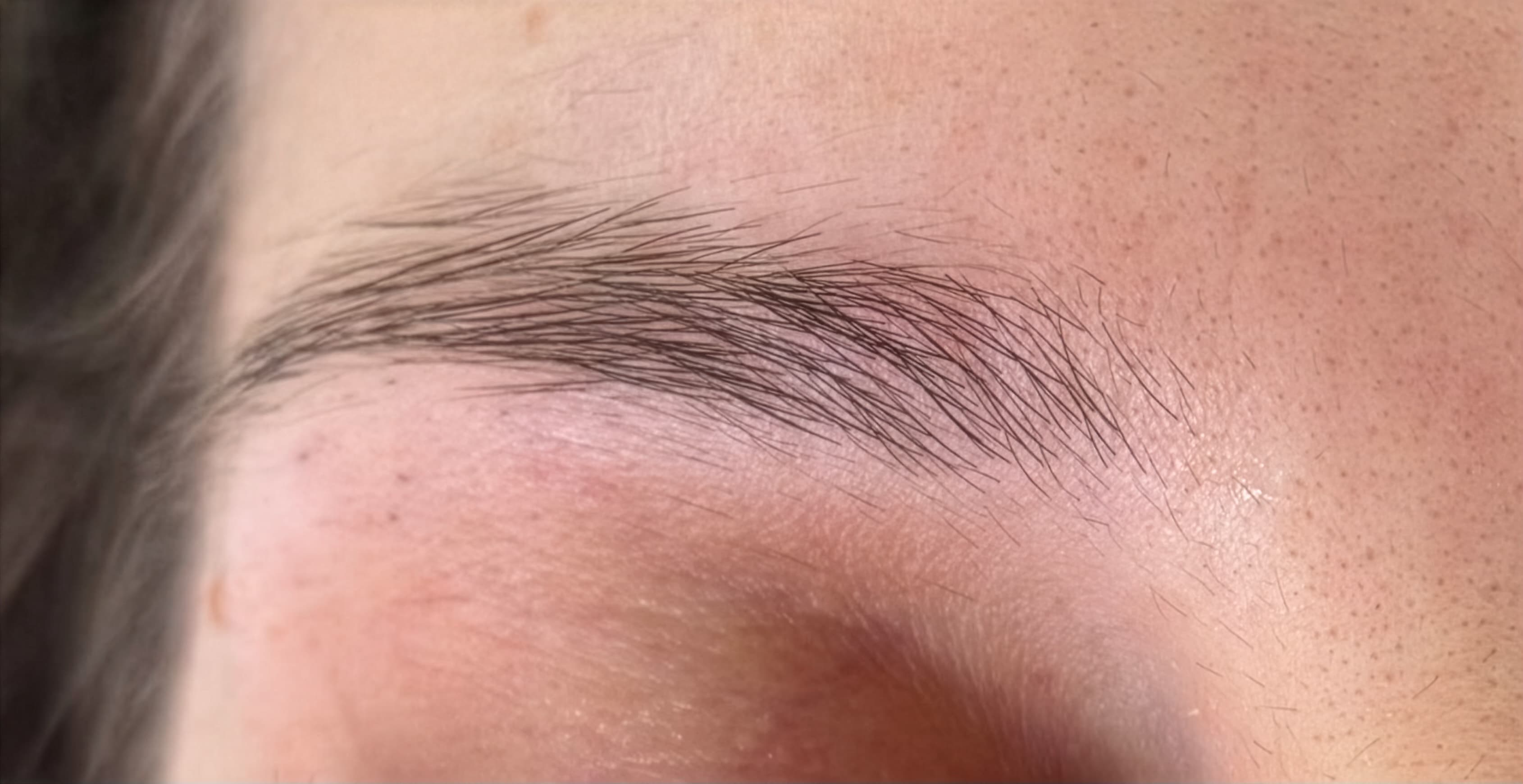 Sulamita's brows before brow lamination